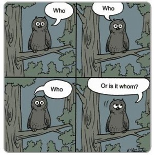 Grammar Owls